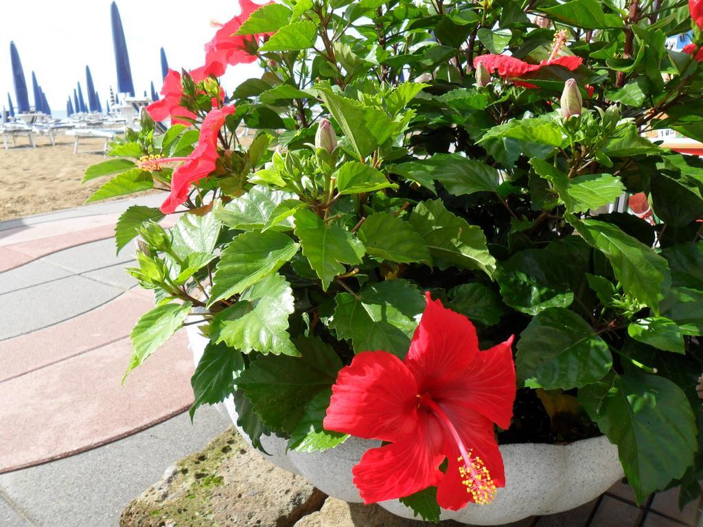 Hotel Telenia Lido di Jesolo Exterior photo